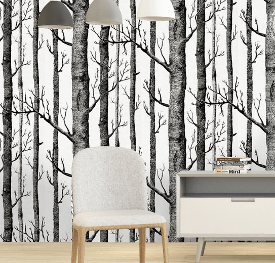 white birch tree wallpaper